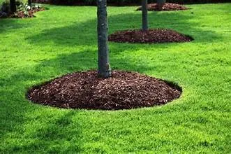 Mulch installation